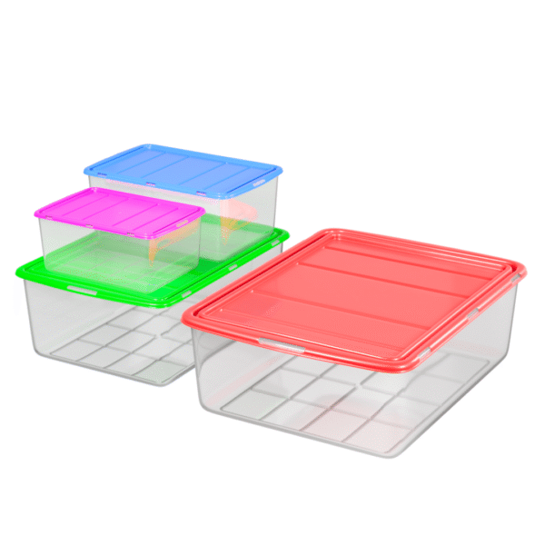 Caja Organizadora Con tapa - Imagen 2